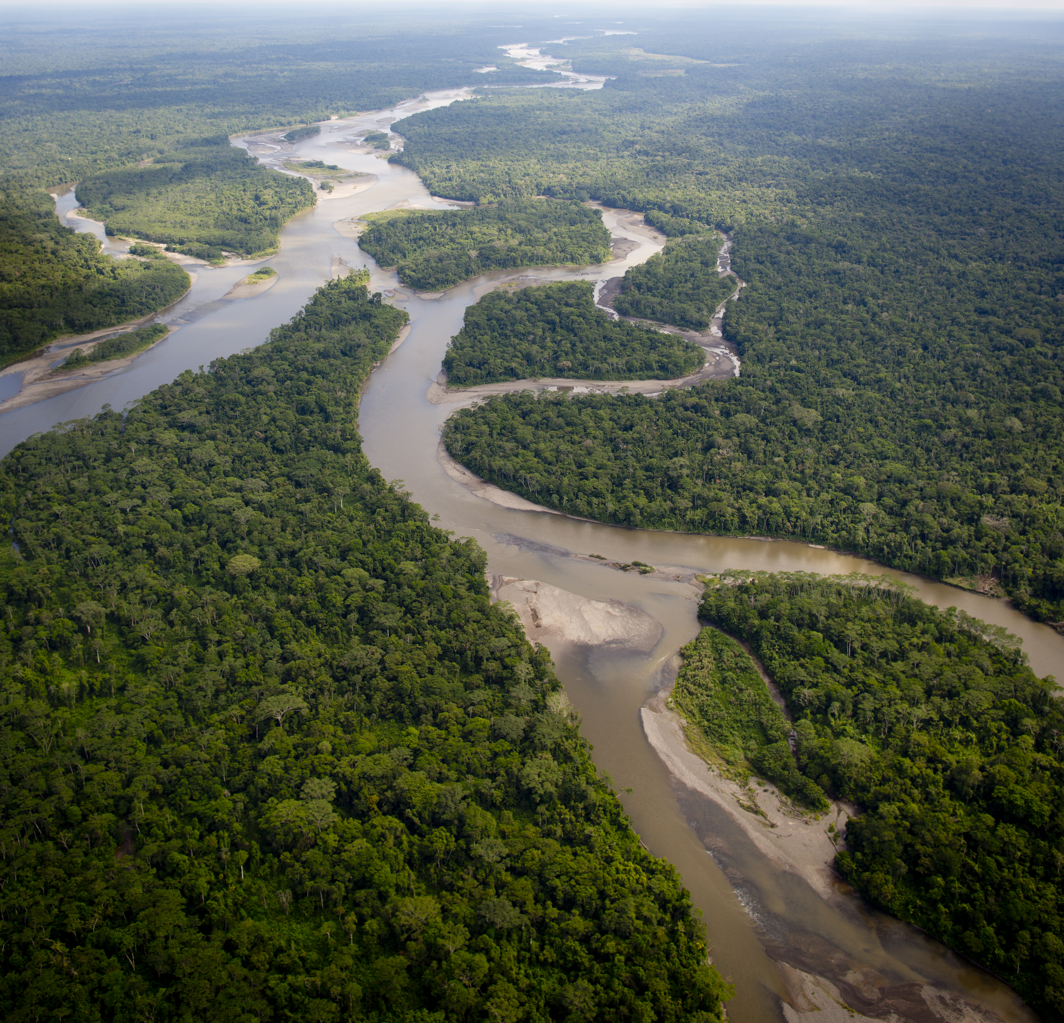 aerial-view-amazon-rainforest.jpg